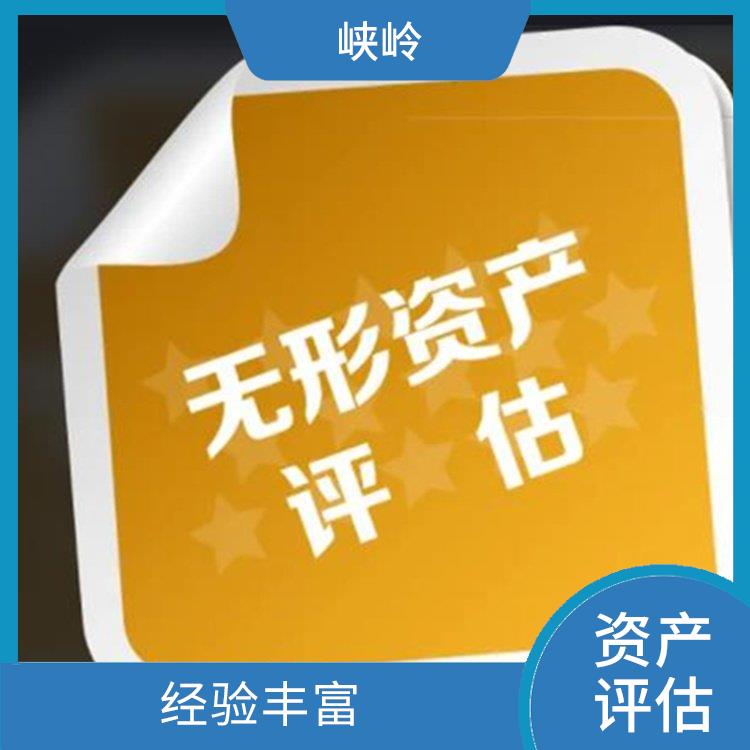 无形资产评估排名 经验丰富 可靠性较高