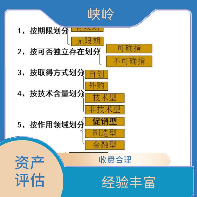 发明技术资产评估 经验丰富 服务完善
