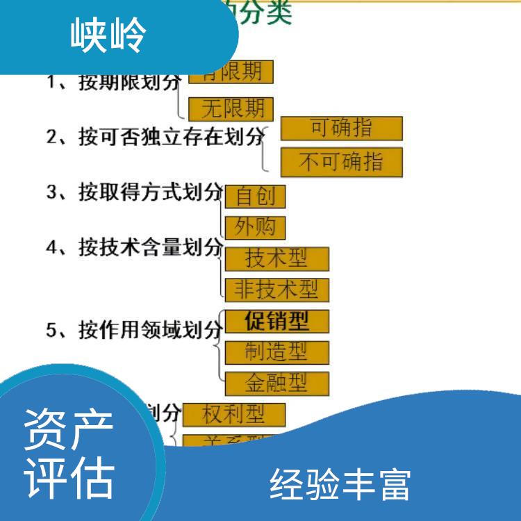 重庆无形资产评估需要提供资料 服务完善