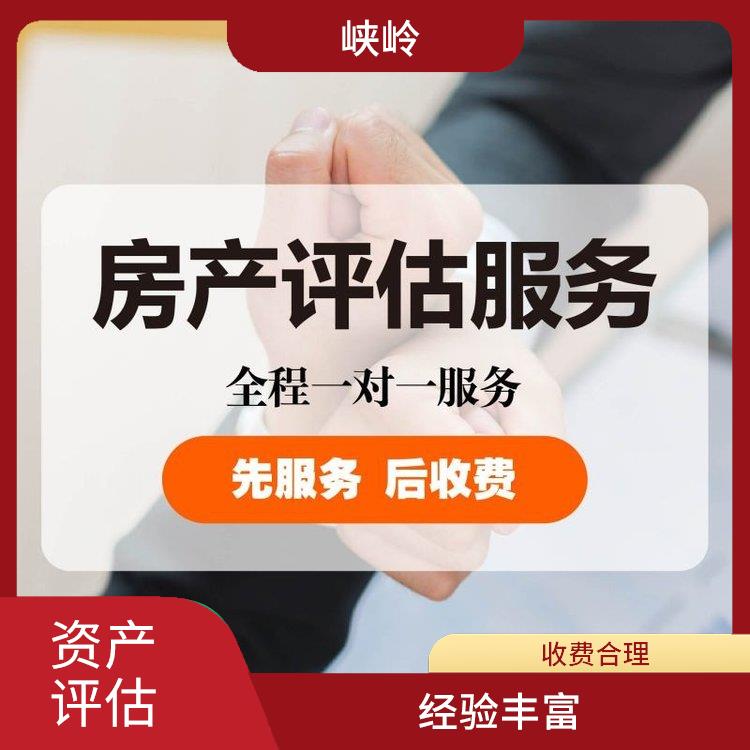 商标资产评估 一对一服务 多年评估经验