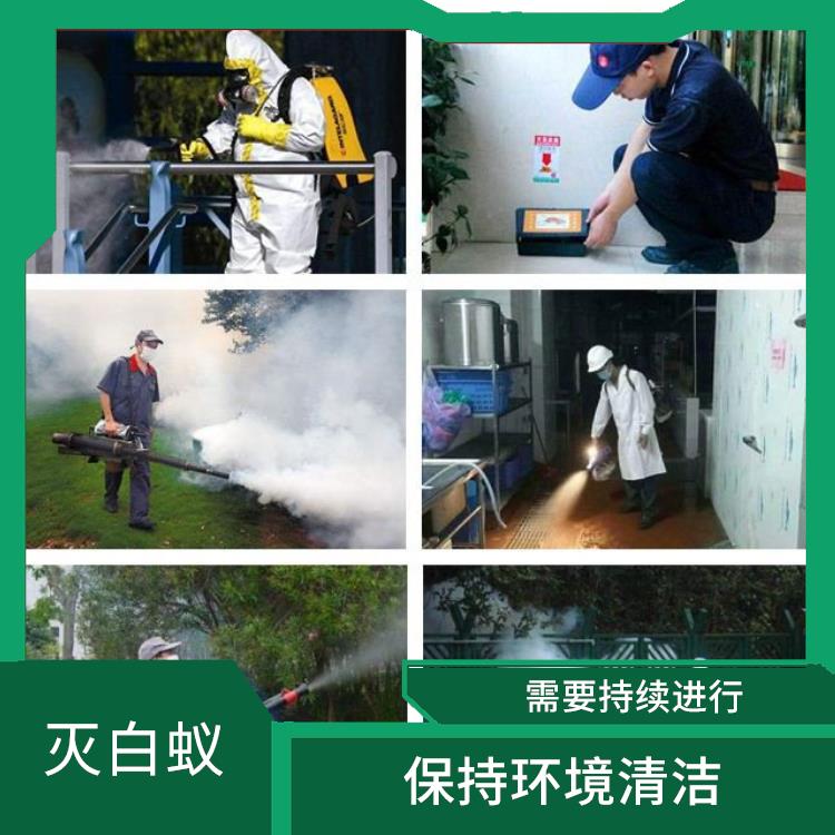 勒流街道滅白蟻公司 滅蒼蠅 根據實際環境提供相應方案
