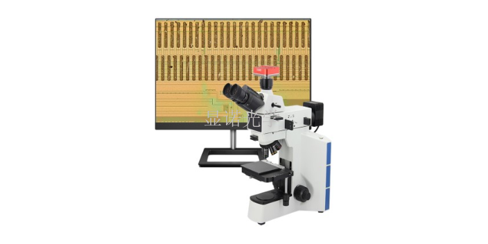 宁波金相显微镜原理 无锡显诺光学科技供应
