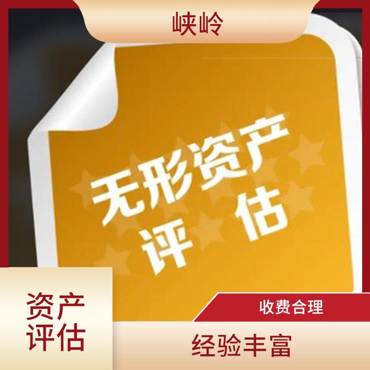 重庆发明技术资产评估 评估流程标准化