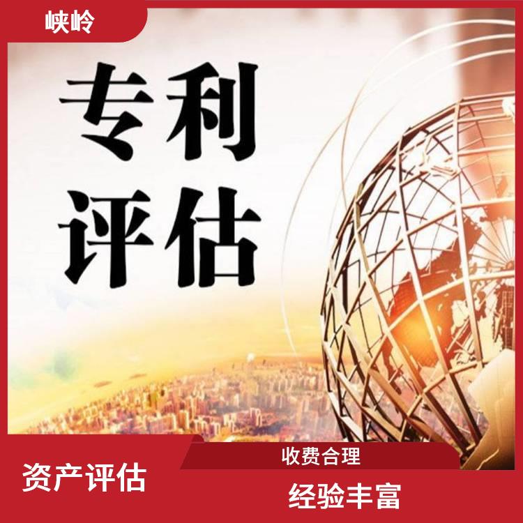 无形资产评估收费标准 全程标准化操作