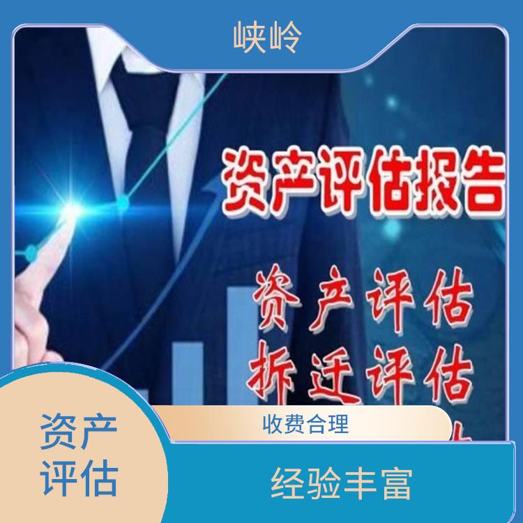 无形资产评估收费标准 多年评估经验