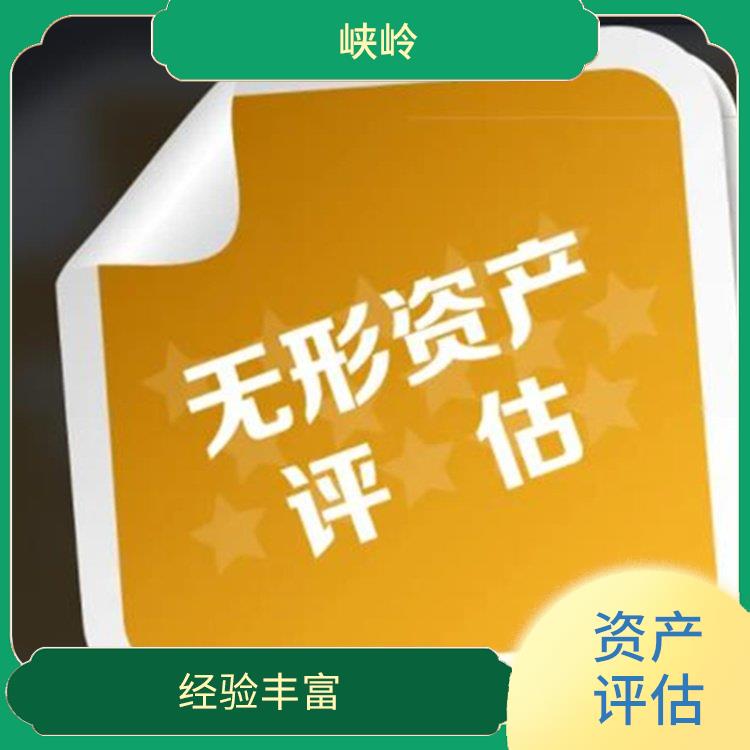 四川著作权资产评估流程 报告严谨