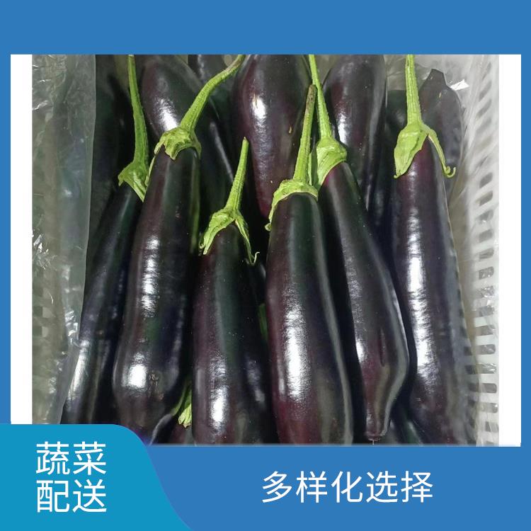 厚街宝塘蔬菜配送平台 新鲜度高