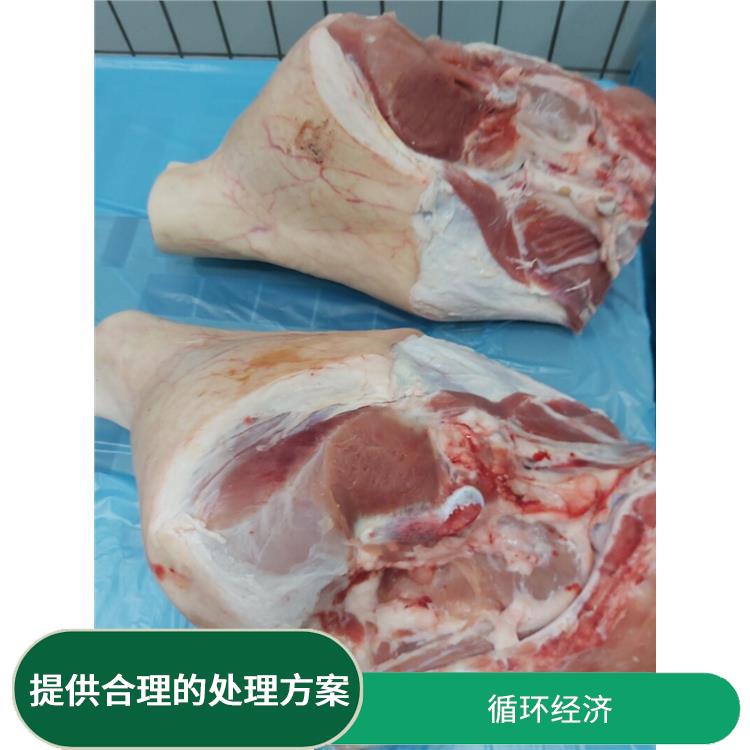 深圳冷冻食品销毁公司 一站式体验更省心