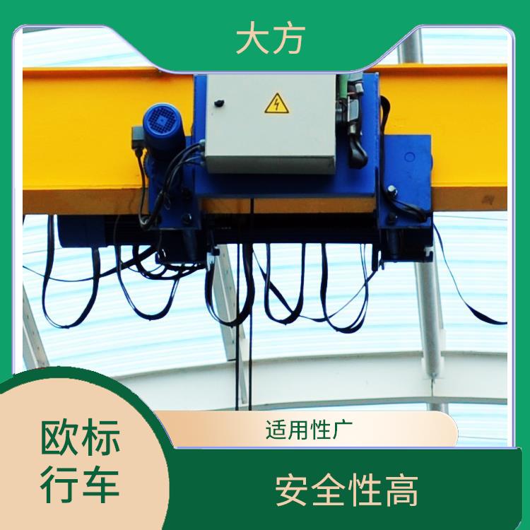 歐式電動葫蘆 結構緊湊 使用壽命長