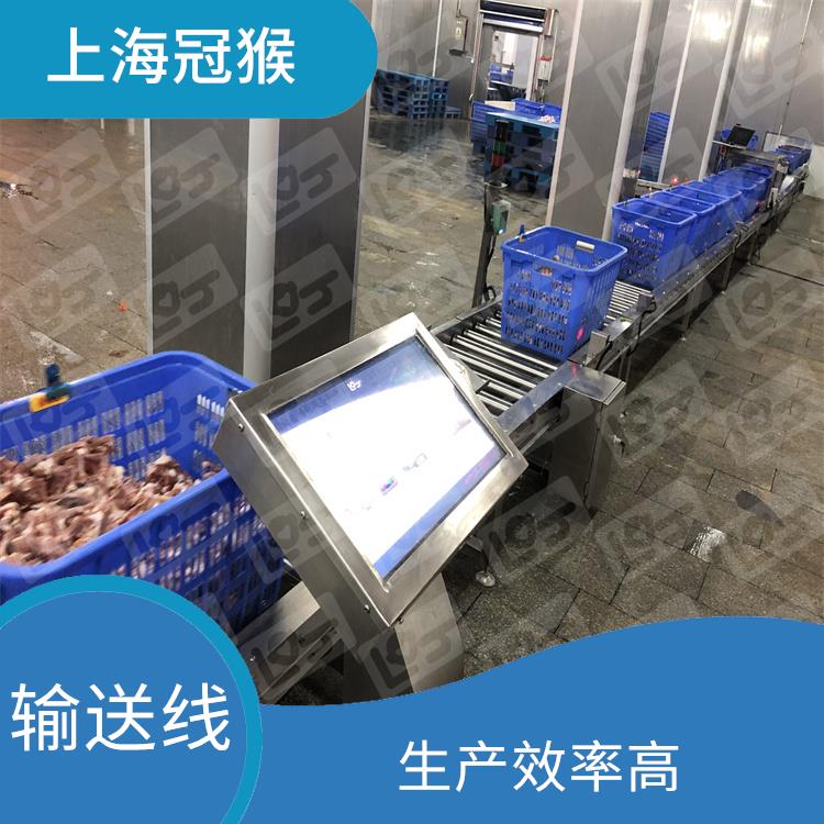 杭州*厨房蔬菜分选设备 自动化程度高 操作简单方便