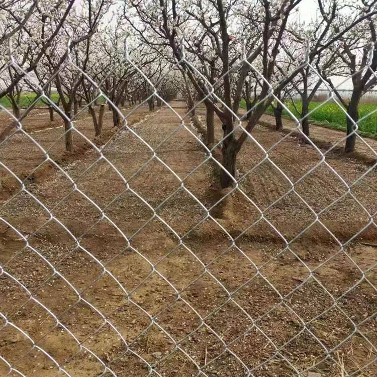 养鸡场围栏热镀锌 户外养殖圈地隔离网 园林围墙铁丝护栏