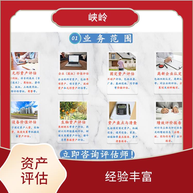 无形资产评估排名 多年评估经验