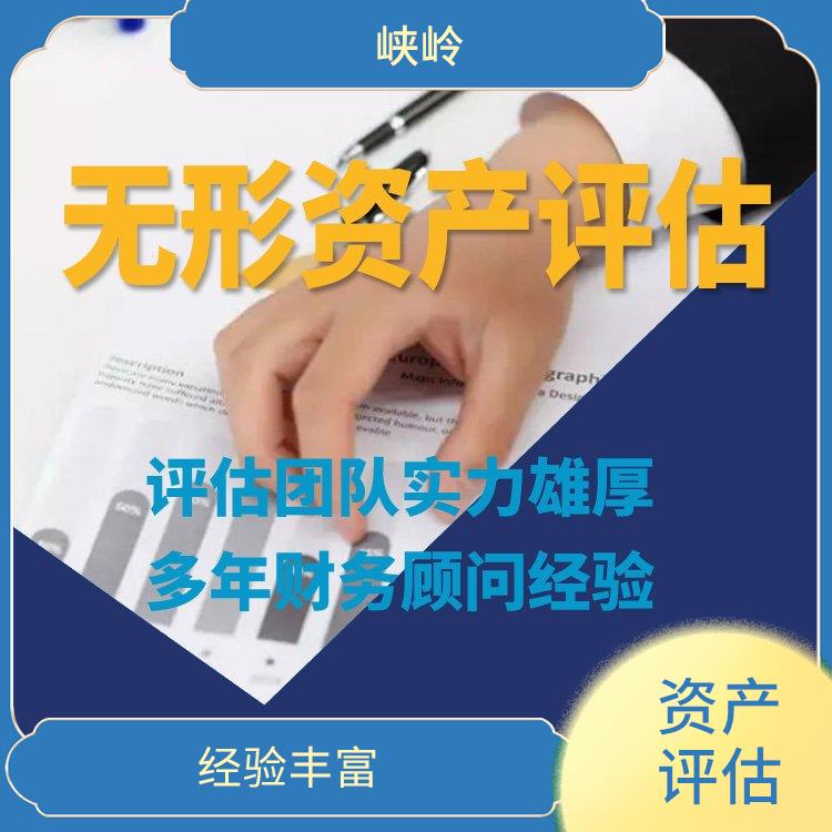 著作权资产评估公司 评估业务范围广 一对一服务