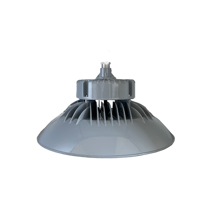 LED免维护天棚灯SZSW6225-1