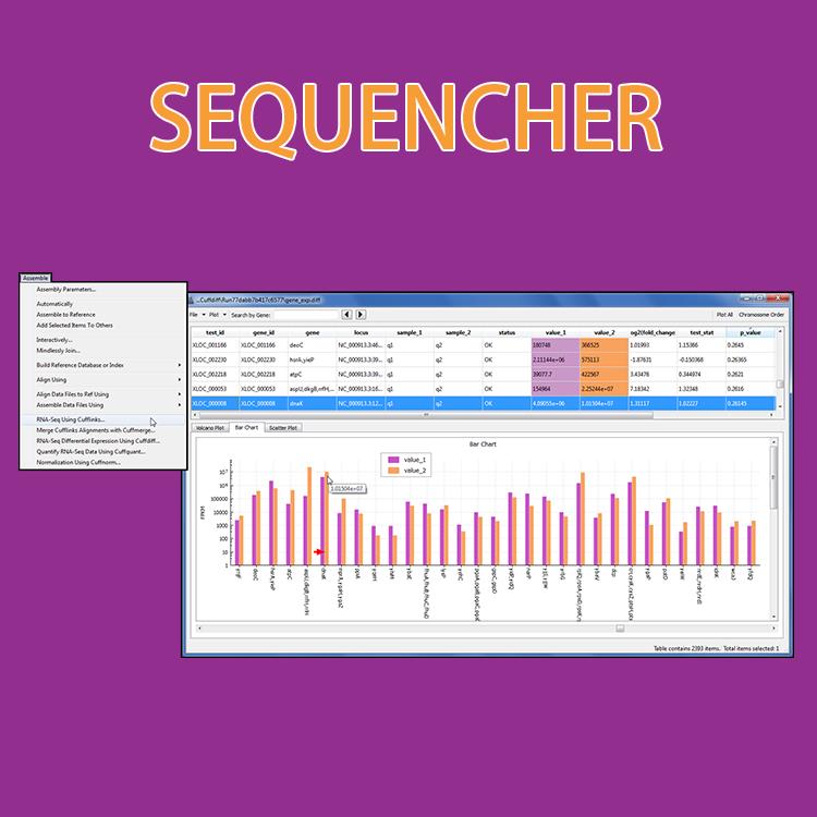 sequencher正版软件学习班_正规代理