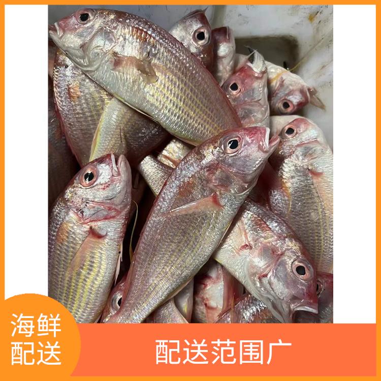 深圳光明海鲜配送 品种丰富 可以随时随地下单