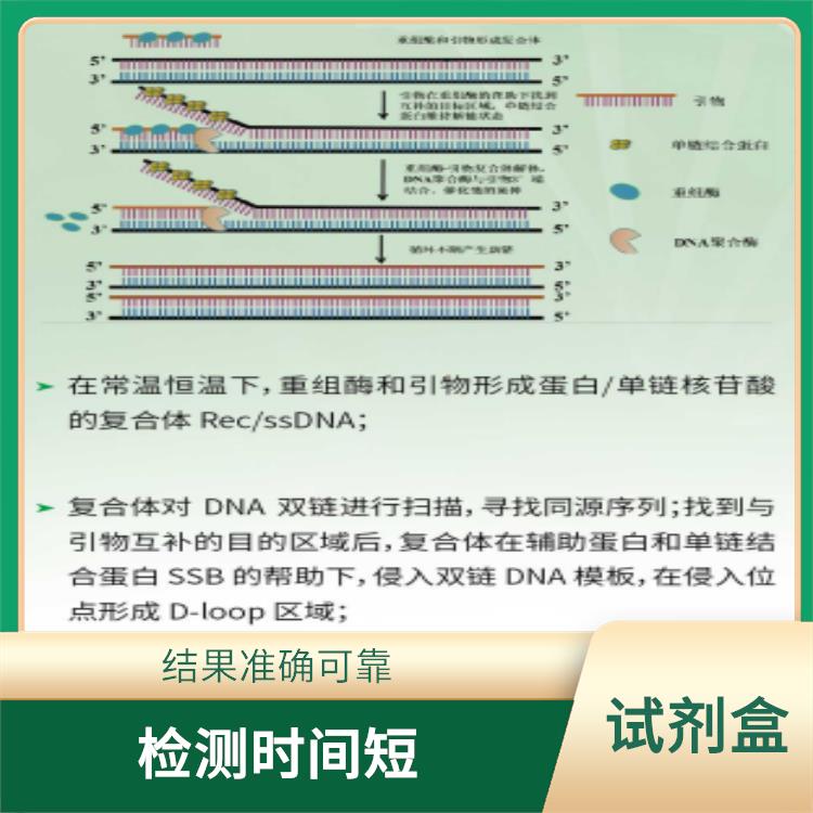 承德RNA恒温快速扩增试剂盒-胶体金试纸条型-Ⅱ厂家 灵敏度高