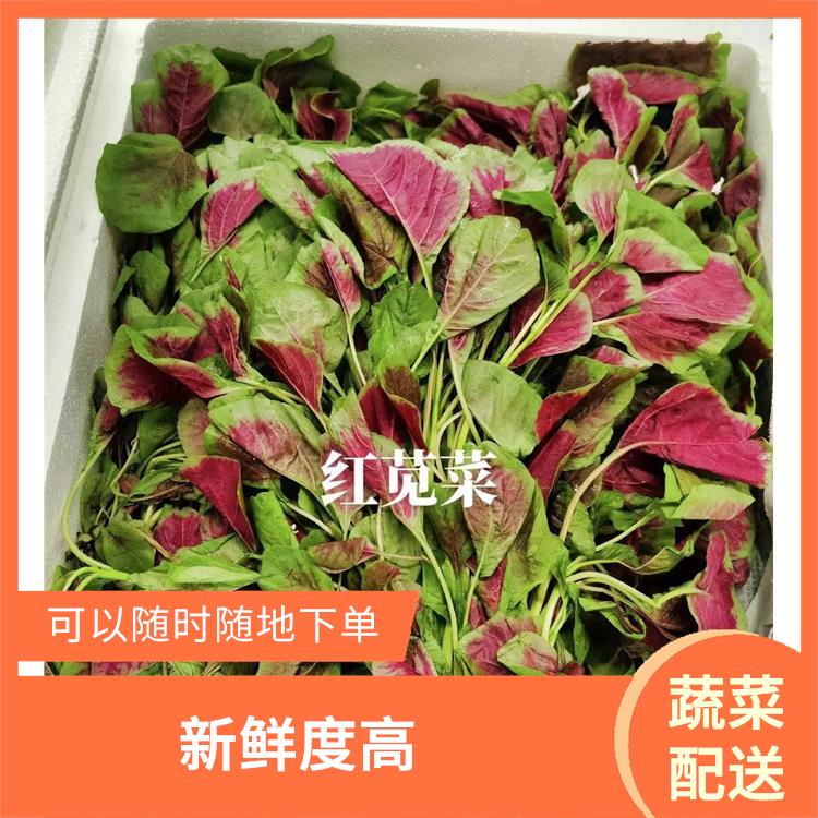 深圳南山蔬菜配送價格 新鮮度高 滿足不同客戶的需求
