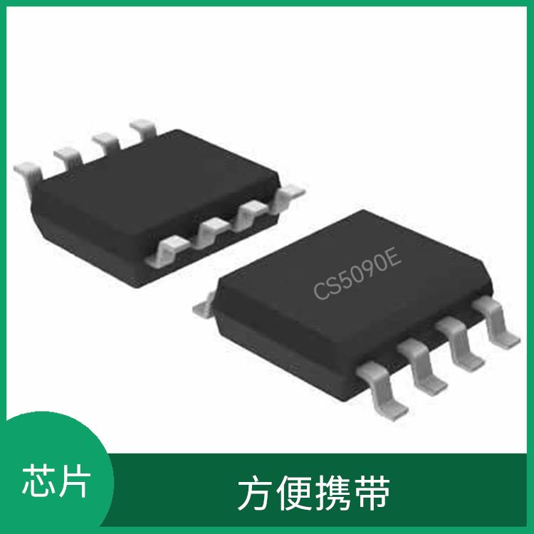 方便攜帶 CS5090E廠家