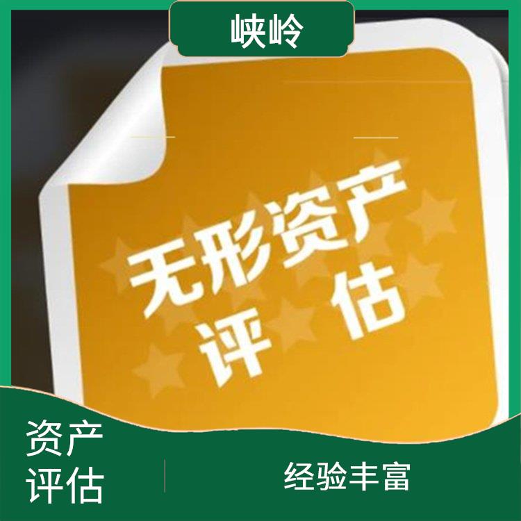 四川无形资产评估需要提供资料 服务完善