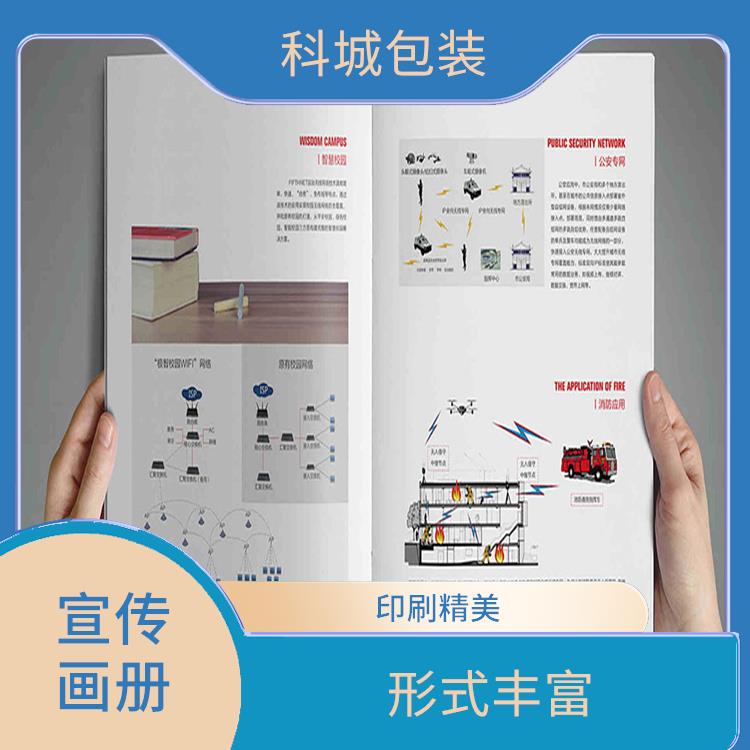 广东企业宣传画册印刷厂家 形式丰富 色调表现丰富