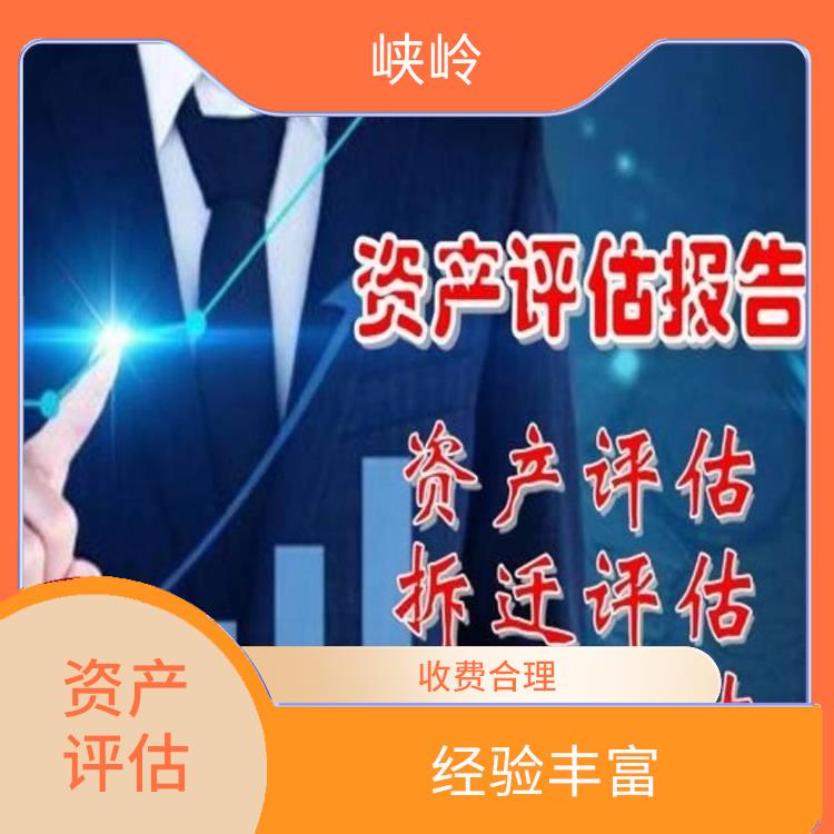 无形资产评估 评估业务范围广