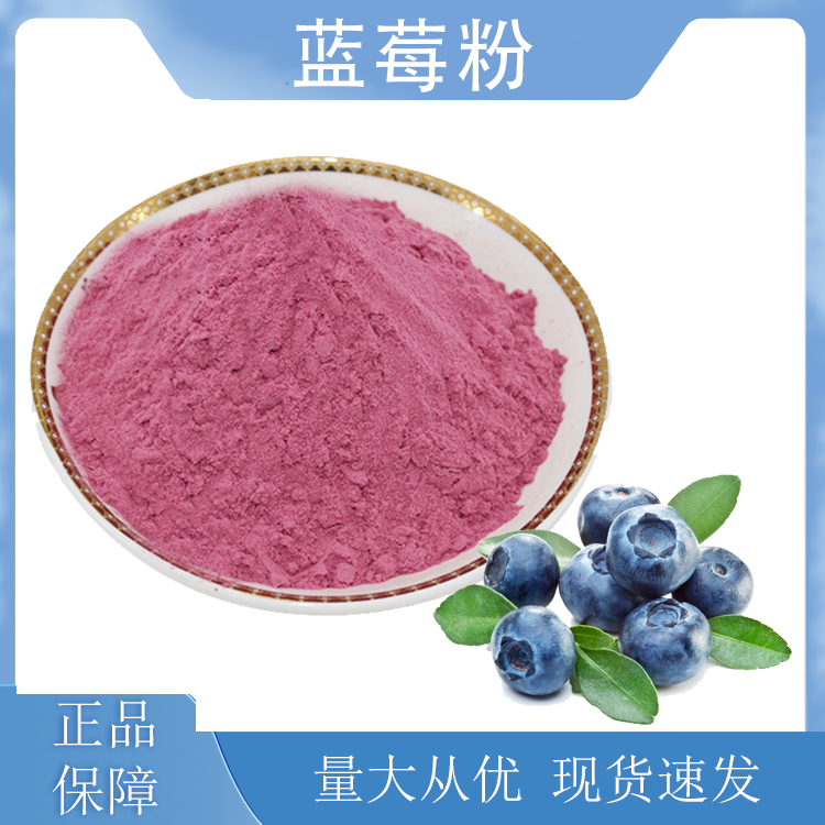 蓝莓粉生产厂家