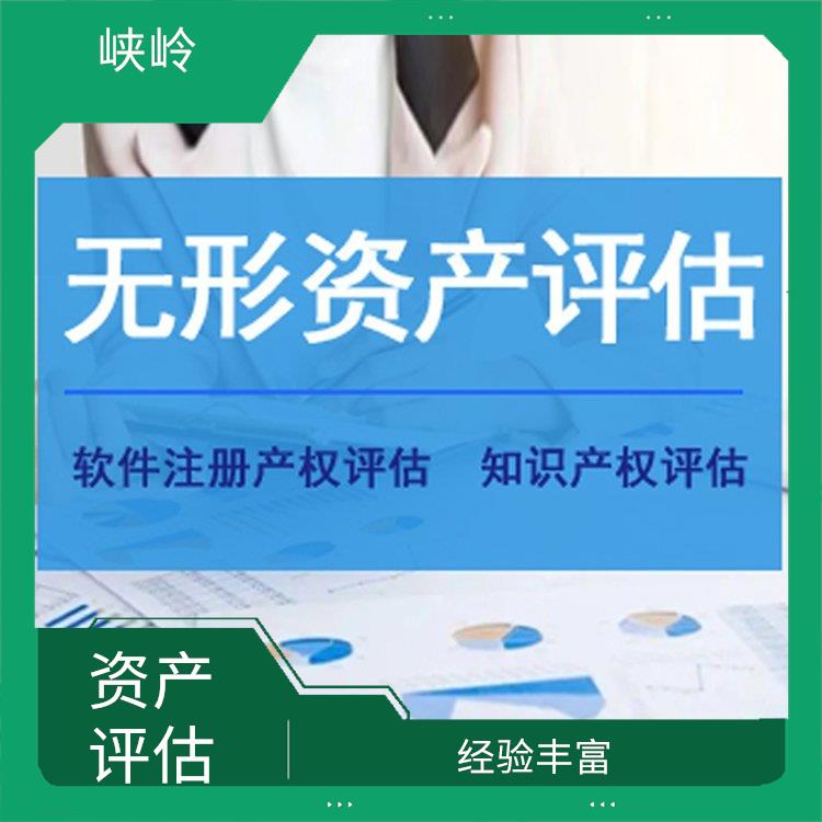 重庆商标资产评估需要提供资料 全程标准化操作