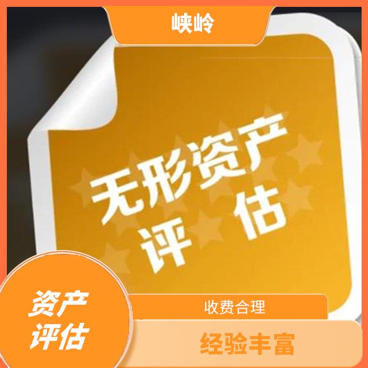 四川资质证书资产评估公司 报告严谨