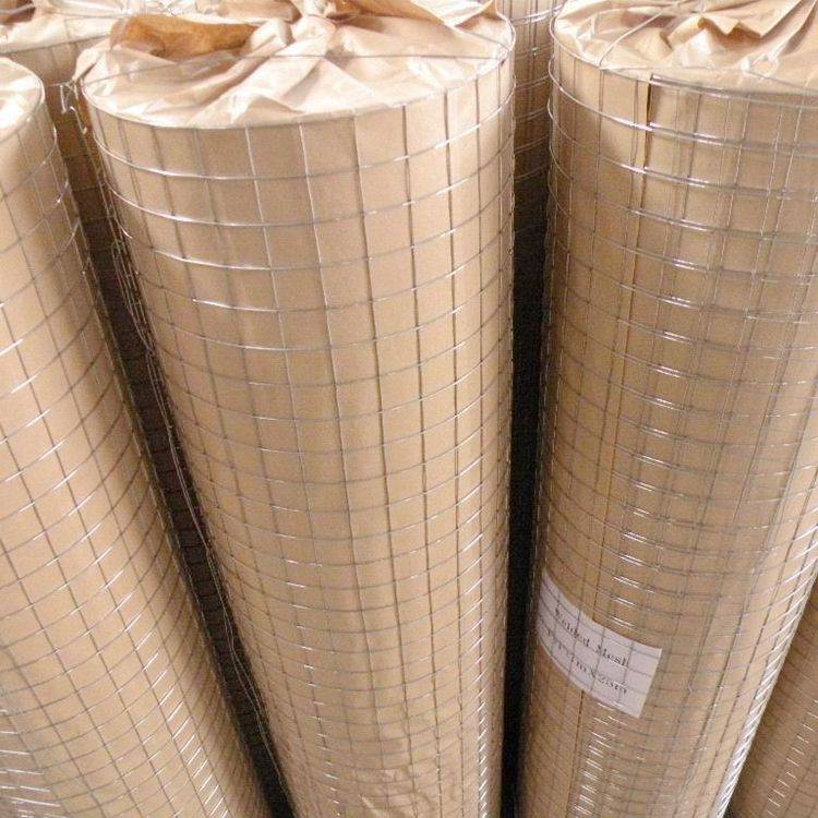 健环低碳钢丝材质焊接牢电焊网 多型号网面平整支持定做