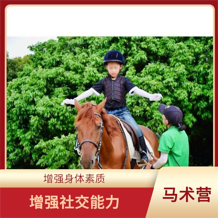 广州国际马术营报名 培养孩子的责任感 促进身心健康