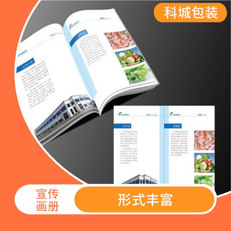 重庆宣传画册设计 设计精巧 色彩艳丽