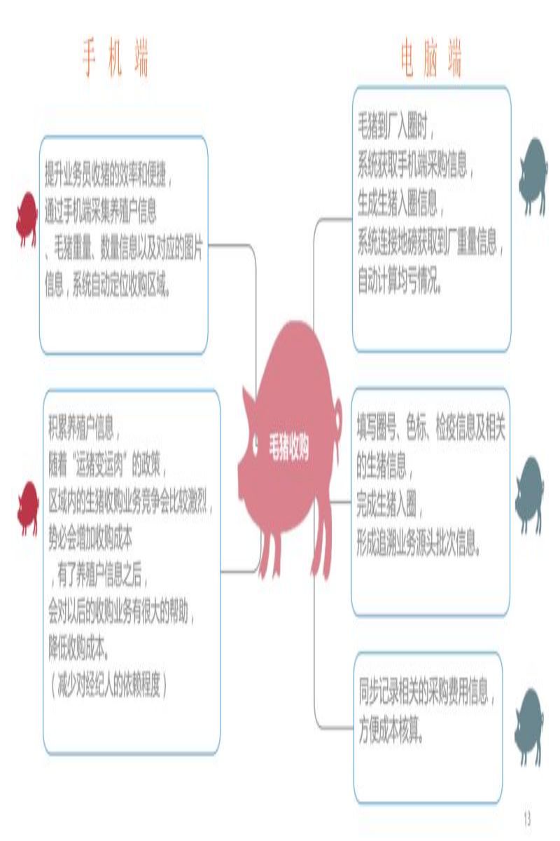 常州屠宰物管理软件厂商