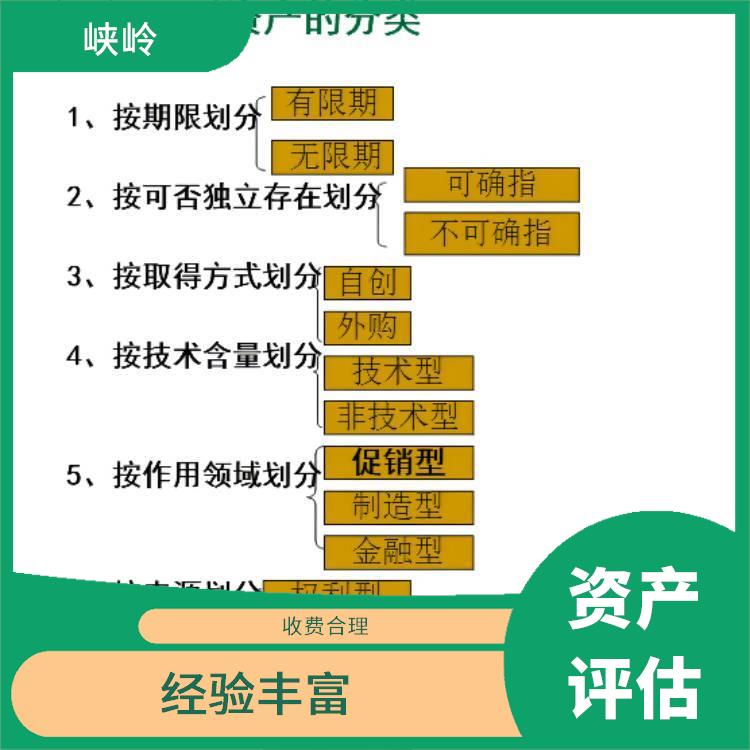 四川商标资产评估需要提供资料 报告严谨