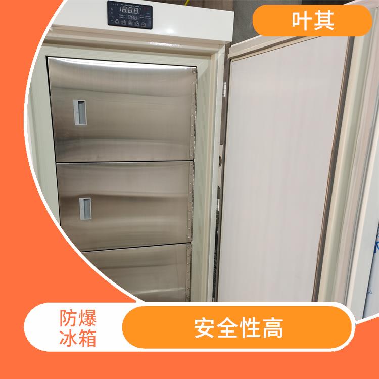 防爆冰箱生产厂家 安全性高 安全门锁设计