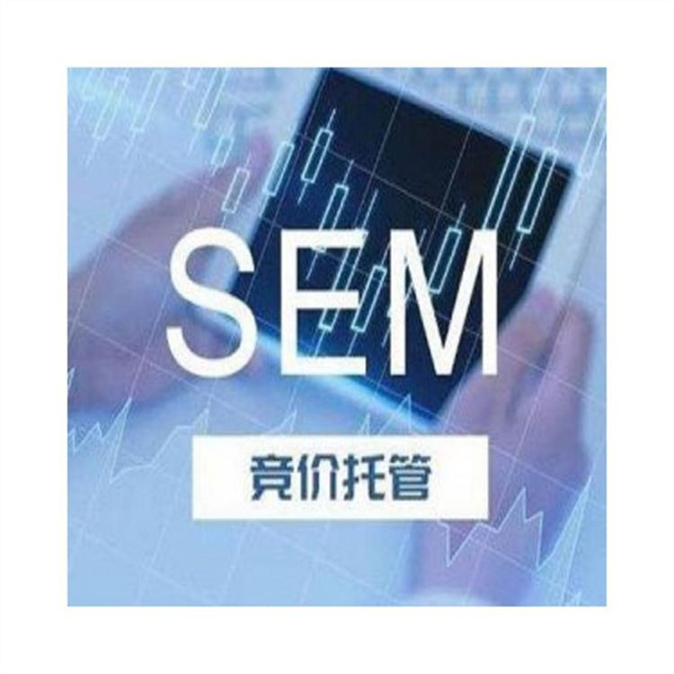 搜索引擎sem托管