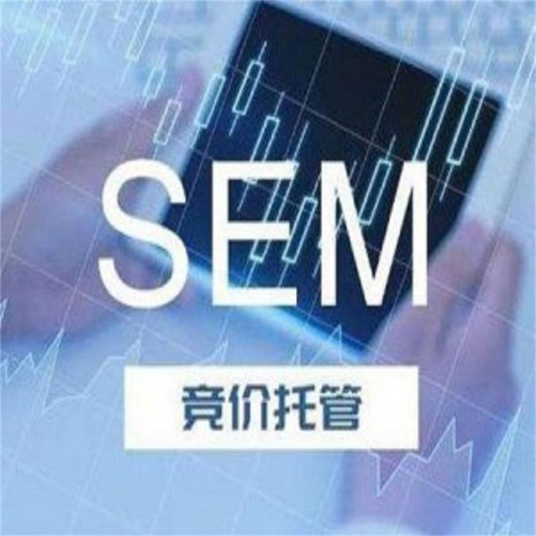 SEM广告投放