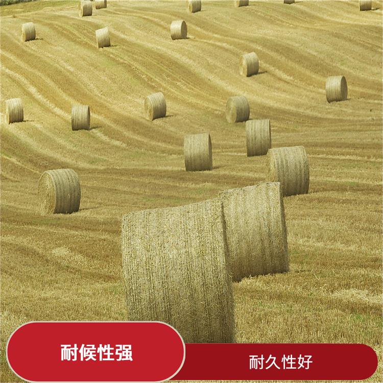 上海捆草网抗老化母粒供应 耐老化 稳定性高