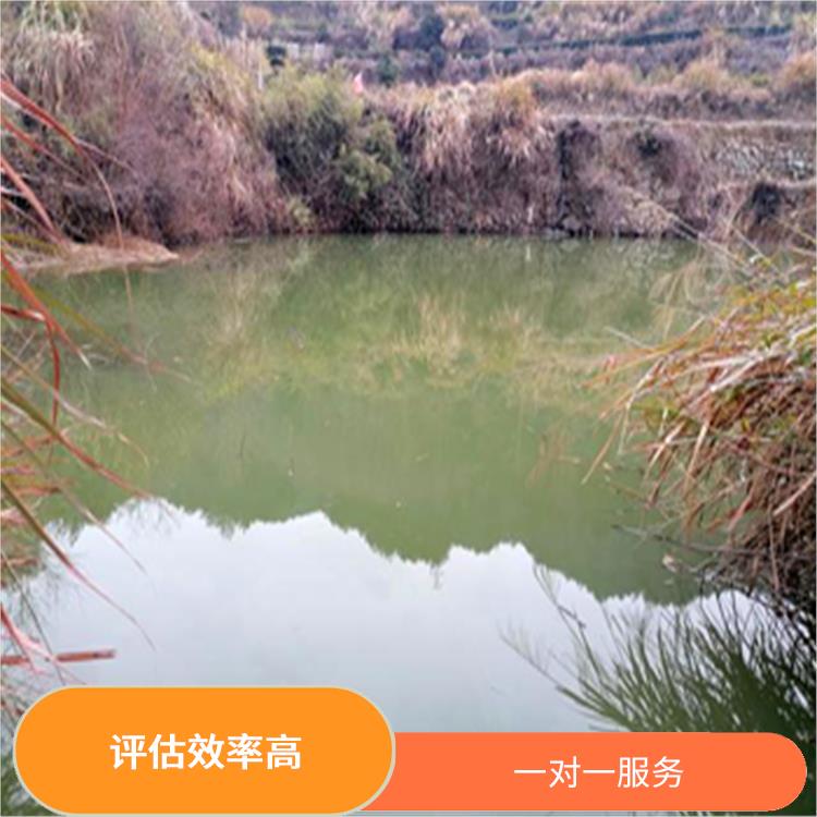 安庆市水库使用权评估 经验丰富 服务完善
