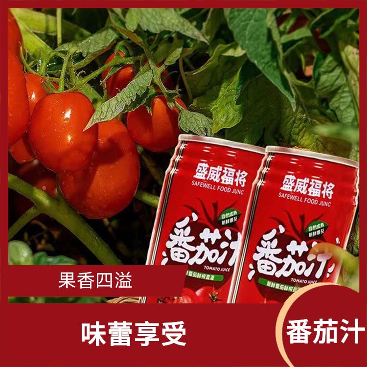 番茄汁罐装 健康选择 让味蕾沉醉