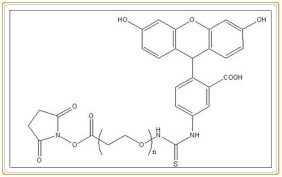 FITC-PEG-NHS_副本