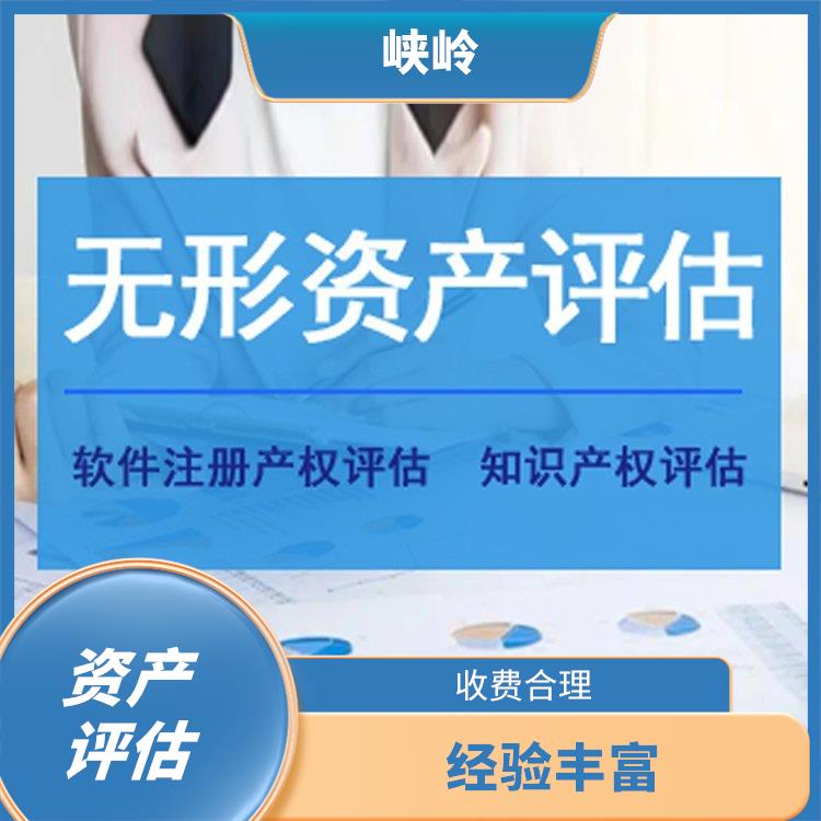 四川商标资产评估收费依据 评估流程标准化 评估效率高