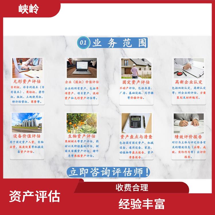 四川无形资产评估的法律作用 评估业务范围广