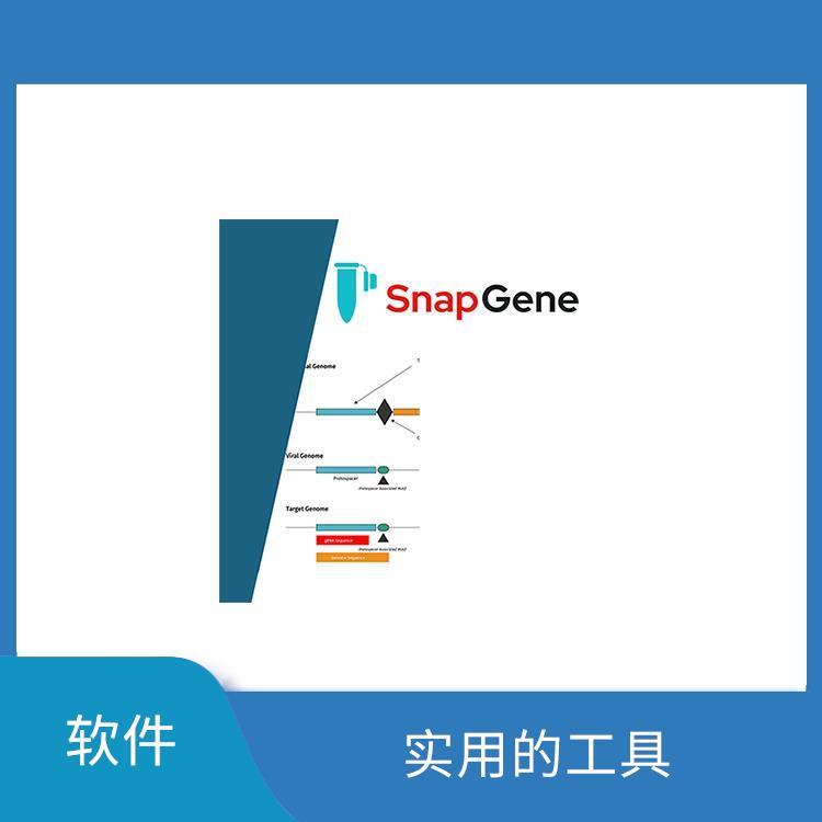 snapgene价格 图形化展示 强大的分子克隆功能