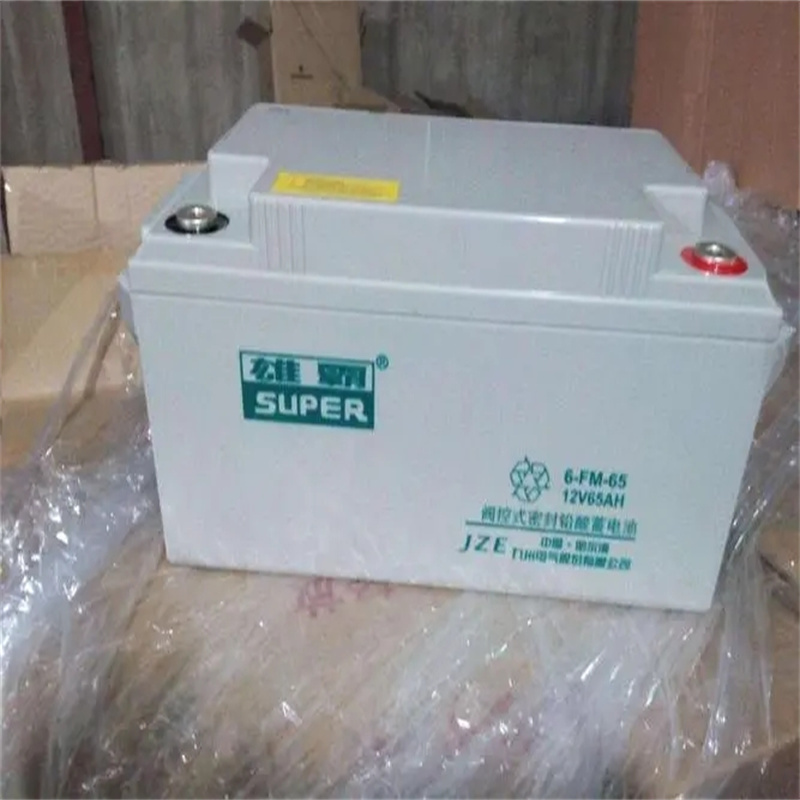 九州雄霸蓄电池6-FM-200电厂及水电站船舶照明设备12V200AH机房基站UPS电源用