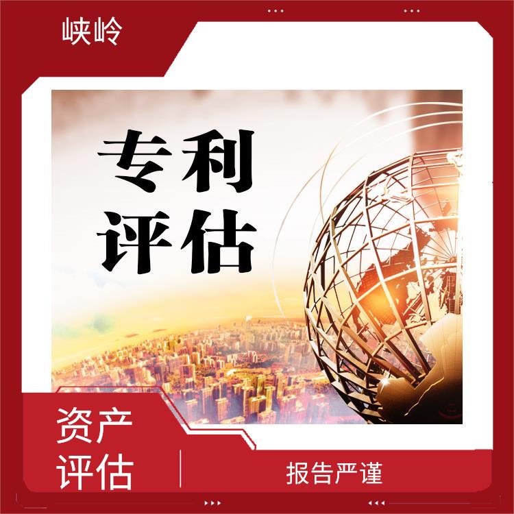 凉山资质价值评估排名 评估业务范围广 报告严谨