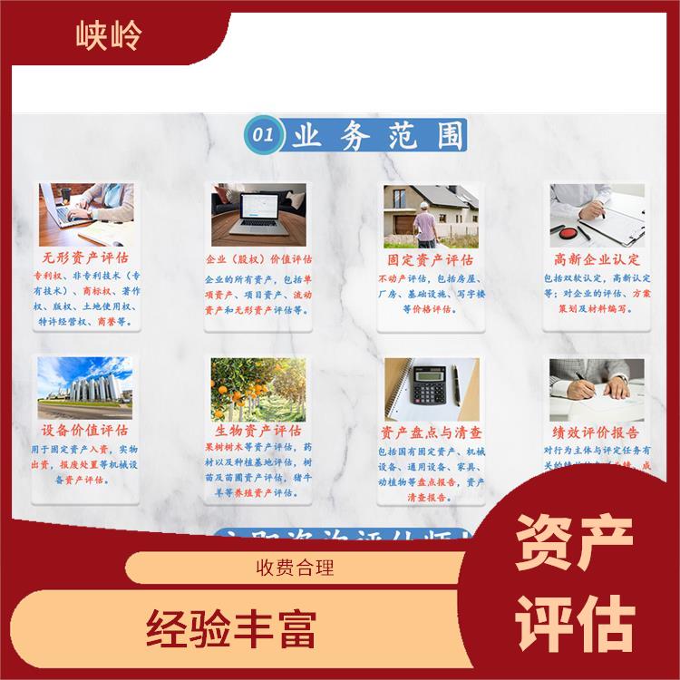 重庆著作权资产评估需要提供资料 评估业务范围广 全程标准化操作