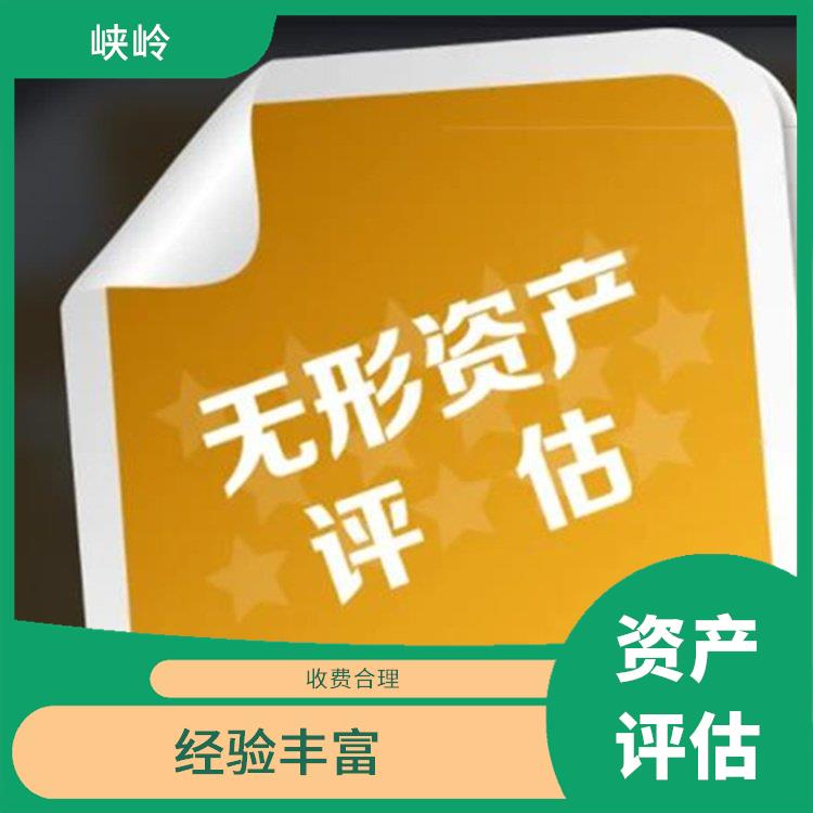 四川著作权资产评估排名 多年评估经验