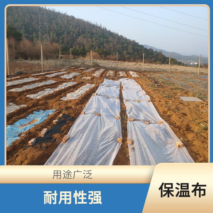 杭州植物防寒保温布价格 用途广泛 透气性好