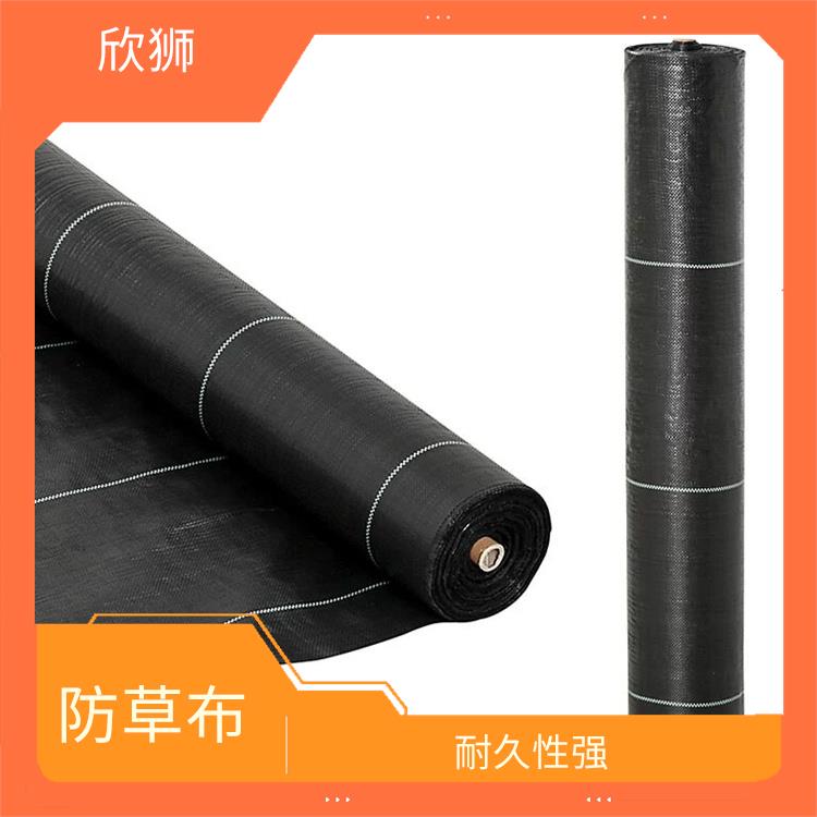 南京pp黑色防草布 耐久性强 易于安装和维护